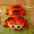 Garfield - pohled shora